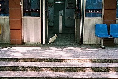 腾讯《修仙时代》新宣传片 开启仙途新纪元！